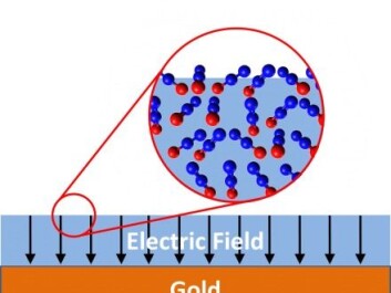 The illustration shows an example of how spontelectrics can occur: a thin film of laughing gas (N2O) is condensed on top of the surface of gold. In the large circle, the film of laughing gas has been enlarged in order to see the individual laughing gas molecules (blue = nitrogen, red = oxygen). The positively charged nitrogen end of the laughing gas molecule sticks out from the surface, creating a positive potential. (Illustration by post-doc Andrew Cassidy from Aarhus University, who is involved with research into spontelectrics).
The illustration shows an example of how spontelectrics can occur: a thin film of laughing gas (N2O) is condensed on top of the surface of gold. In the large circle, the film of laughing gas has been enlarged in order to see the individual laughing gas molecules (blue = nitrogen, red = oxygen). The positively charged nitrogen end of the laughing gas molecule sticks out from the surface, creating a positive potential. (Illustration by post-doc Andrew Cassidy from Aarhus University, who is involved with research into spontelectrics).
