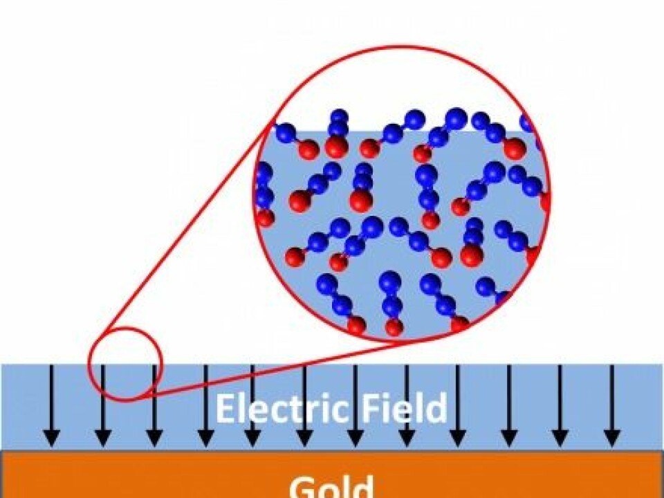The illustration shows an example of how spontelectrics can occur: a thin film of laughing gas (N2O) is condensed on top of the surface of gold. In the large circle, the film of laughing gas has been enlarged in order to see the individual laughing gas molecules (blue = nitrogen, red = oxygen). The positively charged nitrogen end of the laughing gas molecule sticks out from the surface, creating a positive potential. (Illustration by post-doc Andrew Cassidy from Aarhus University, who is involved with research into spontelectrics).