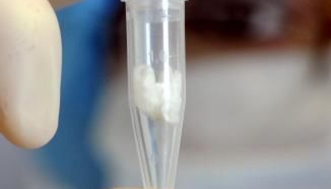 Researchers from DTU, along with a team from the U.S, have located the source of infection of the cholera outbreak in Haiti in 2010. It turns out that Nepalese aid workers brought the lethal bacteria with them, following the January 2010 earthquake in Haiti. (Photo: Colourbox) Researchers from DTU, along with a team from the U.S, have located the source of infection of the cholera outbreak in Haiti in 2010. It turns out that Nepalese aid workers brought the lethal bacteria with them, following the January 2010 earthquake in Haiti. (Photo: Colourbox)