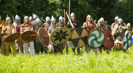 DNA study: Vikings were plagued by intestinal parasites