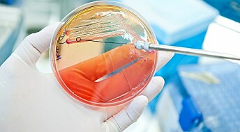 Fast method for determining antibiotic resistance