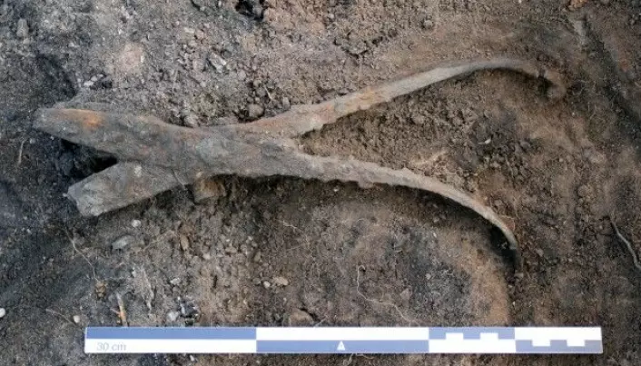 A viking blacksmith buried with his tools