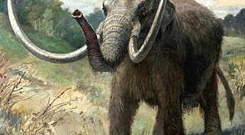 Mammoth extinction: new study questions comet theory