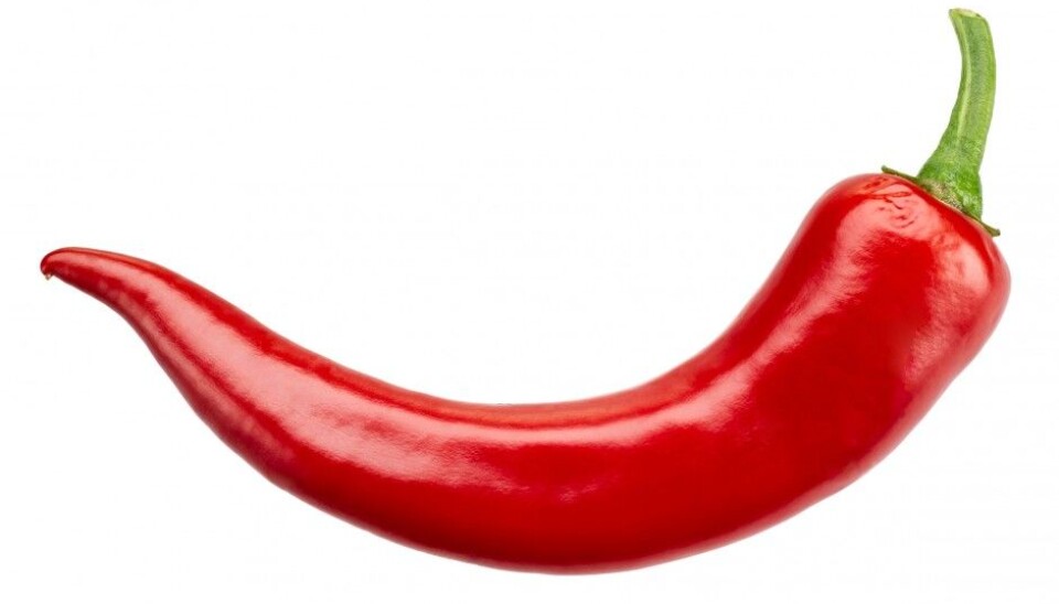 The receptor TRPA1 reacts not just to chili, mustard, garlic and wasabi, but also to temperatures below 20°C. (Photo: Colourbox)