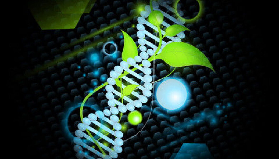 30 Danes have had their genomes mapped in a recent study. (Photo: Colourbox) 30 Danes have had their genomes mapped in a recent study. (Photo: Colourbox)