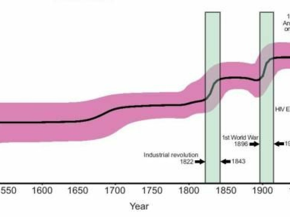 The figure shows how the number of tuberculosis bacteria from the Beijing-strain increased during events such as the Industrialization, World War 1, and the HIV epidemic. The discovery of antibiotics shows as a slight decrease in prevalence. (Illustration: Nature Genetics)