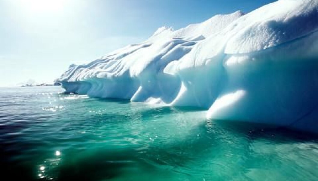 Warming of the Arctic may mean that fish from the Atlantic and Pacific will intermingle, new research predicts. According to the scientists this could have consequences for fishermen and local ecosystems alike. (Photo: Colourbox) Warming of the Arctic may mean that fish from the Atlantic and Pacific will intermingle, new research predicts. According to the scientists this could have consequences for fishermen and local ecosystems alike. (Photo: Colourbox)