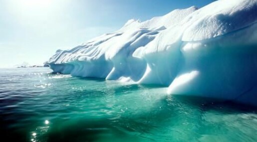 Ecosystem clash imminent as Arctic warming continues