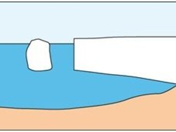 When a lot of snow falls in an area, the lowest layer of snow is slowly compressed to ice. This is how the Greenland Ice Sheet developed. Over time, part of the ice layer is pushed away, down slopes and so on. This ice is now a glacier. Later, the ice has traveled so far downwards that it begins to melt; when this happens, icebergs break off – the glacier calves. (Illustration: Ole Bennike) When a lot of snow falls in an area, the lowest layer of snow is slowly compressed to ice. This is how the Greenland Ice Sheet developed. Over time, part of the ice layer is pushed away, down slopes and so on. This ice is now a glacier. Later, the ice has traveled so far downwards that it begins to melt; when this happens, icebergs break off – the glacier calves. (Illustration: Ole Bennike)