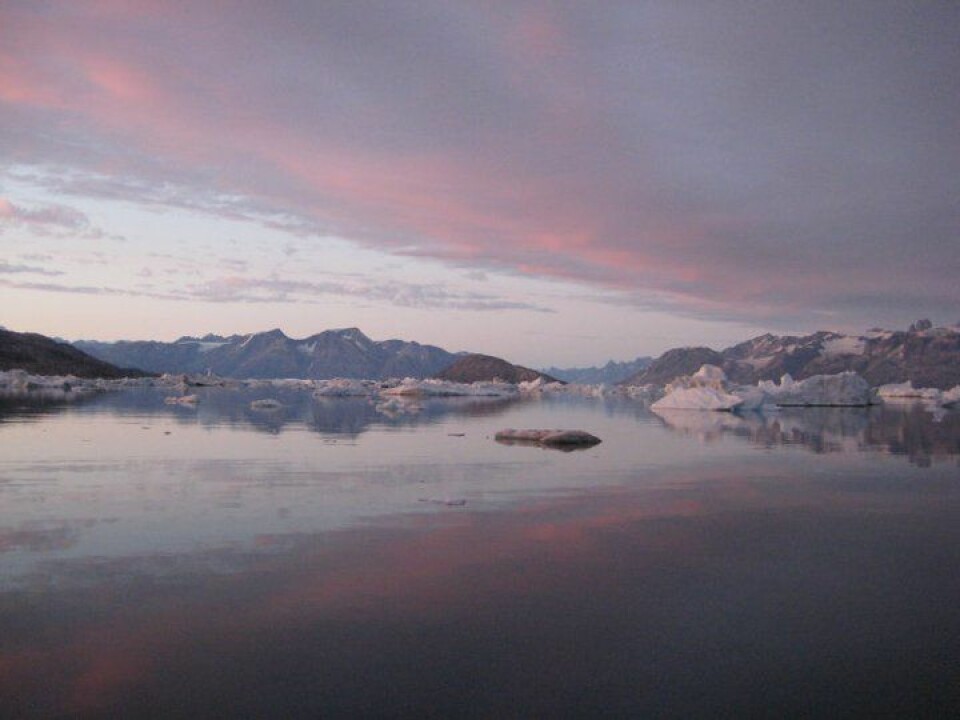 Sermilik Fjord. Previous studies concluded that it was primarily warm lower water layers that contributed to glacial melting in Greenland. But new Danish research indicates that other factors also play a role. (Photo: Camilla S. Andresen)