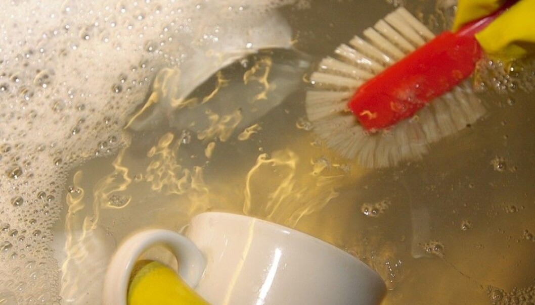 Your glasses, plates and flatware don’t get as clean as they would in a dishwasher. But this is a good thing about washing up by hand. A wash in the kitchen sink exposes the family to a flora of microbes which in turn bolster children’s immune defence system by increasing tolerance. (Photo: Bjørn Rørslett, NTB Scanpix) Your glasses, plates and flatware don’t get as clean as they would in a dishwasher. But this is a good thing about washing up by hand. A wash in the kitchen sink exposes the family to a flora of microbes which in turn bolster children’s immune defence system by increasing tolerance. (Photo: Bjørn Rørslett, NTB Scanpix)
