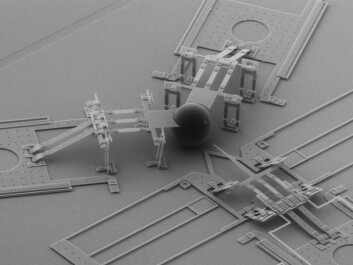 This is a nanoinjector that's used to transfer genes and DNA to new cells. It's about the same size as the maximum width of a human hair. (Photo: Brian Jensen / BYU) This is a nanoinjector that's used to transfer genes and DNA to new cells. It's about the same size as the maximum width of a human hair. (Photo: Brian Jensen / BYU)