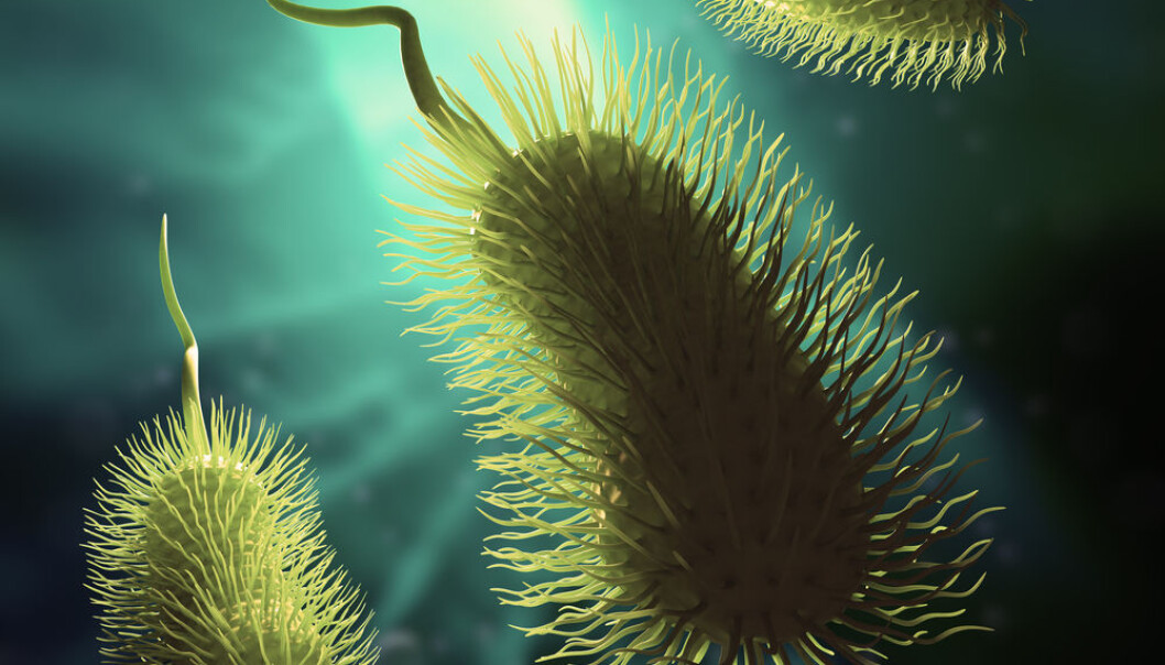 Thousands of bacteria live inside our guts where they perform important functions. (Photo: <a href="http://www.shutterstock.com/pic-121672870/stock-photo-scientific-illustration-of-a-bacteria-d-rendered-image.html?src=pp-photo-131908172-Cd937WwTaNJl1dsr2-xSWQ-4"_blank">Shutterstock</a>) Thousands of bacteria live inside our guts where they perform important functions. (Photo: <a href="http://www.shutterstock.com/pic-121672870/stock-photo-scientific-illustration-of-a-bacteria-d-rendered-image.html?src=pp-photo-131908172-Cd937WwTaNJl1dsr2-xSWQ-4"_blank">Shutterstock</a>)