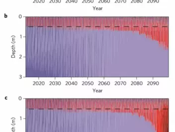 These figures show how the temperature of the permafrost will develop over the next 80-100 years, according to the scientists’ computer models. Figure A shows that virtually nothing happens if climate change continues at a low level. Figure B shows the temperature trend predicted if global warming really takes hold, and figure C shows the combination of this strong global warming and the heat generated from within the permafrost by active bacteria. Around 2100 AD the heat production in the permafrost gathers real momentum and reaches its so-called tipping point. (Illustration: Jørgen Hollesen et al.)