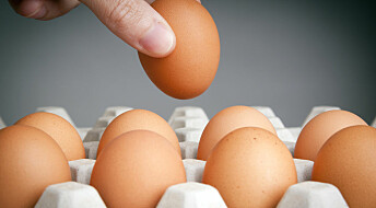 Eating more eggs may reduce risk of diabetes