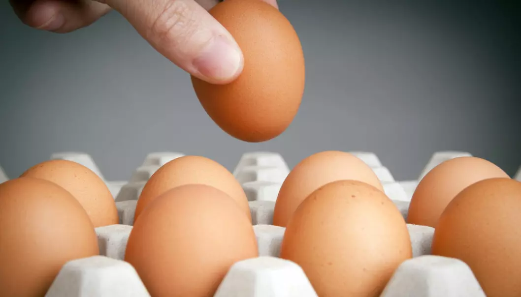 Finnish men men who ate more than five eggs a week had a lower risk of contracting type 2 diabetes than men who only ate one. (Photo: Shutterstock)