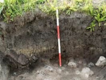 The archaeological excavations of Lavegaard showing layers of clay and stone (about 20 cm deep). (Photo: SKALK)