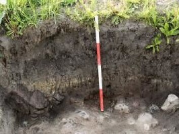 The archaeological excavations of Lavegaard showing layers of clay and stone (about 20 cm deep). (Photo: SKALK) The archaeological excavations of Lavegaard showing layers of clay and stone (about 20 cm deep). (Photo: SKALK)