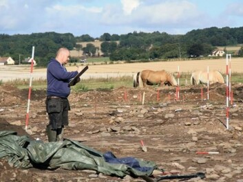 The Lavegaard excavation in progress. (Photo: SKALK) The Lavegaard excavation in progress. (Photo: SKALK)