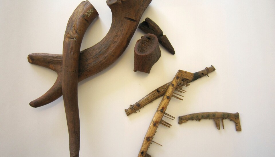 Similar Viking age combs and antlers from Aggersborg, North Denmark. (Photo: Søren M. Sindbæk)