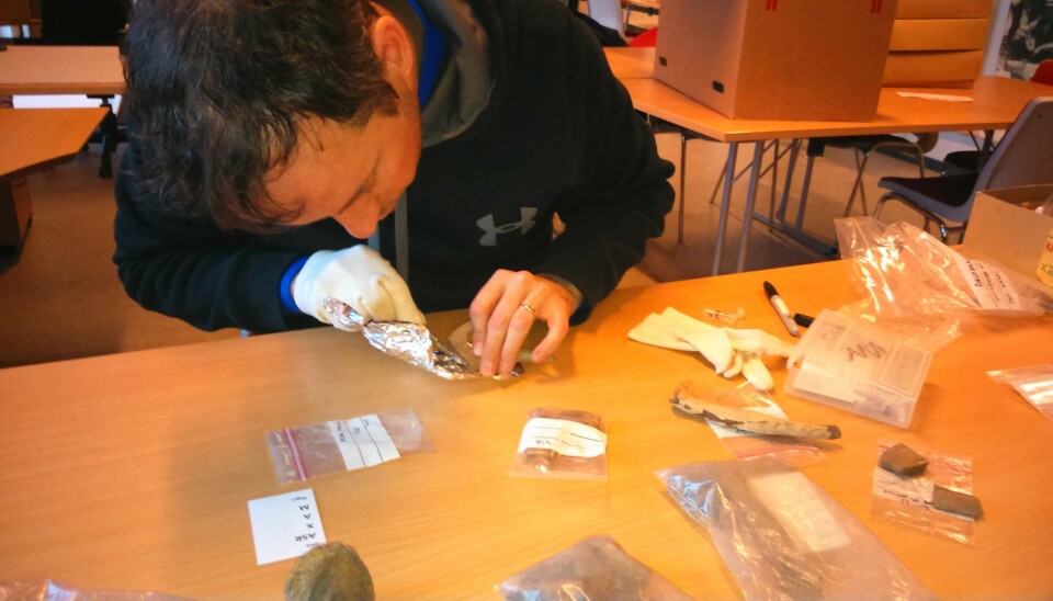 Steven Ashby takes samples from the Viking combs found in Ribe. (Photo: Søren M. Sindbæk)