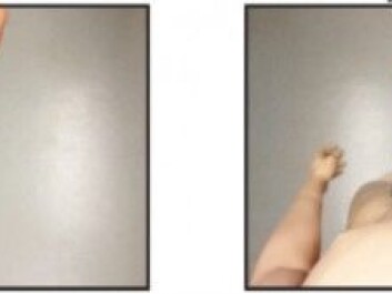 Seen through goggles: The first two images show what the test subject wearing VR goggles saw when a brush touched and a knife appeared to be nearly poking her body. In the second two, a corresponding test was made with the camera pointed down the body of a mannequin. (Images from the study published in Scientific Reports. Creative Commons Attribution 4.0 International Licence.)
Seen through goggles: The first two images show what the test subject wearing VR goggles saw when a brush touched and a knife appeared to be nearly poking her body. In the second two, a corresponding test was made with the camera pointed down the body of a mannequin. (Images from the study published in Scientific Reports. Creative Commons Attribution 4.0 International Licence.)