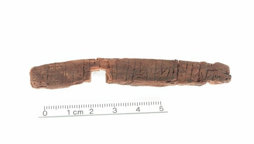 The rune stick found in the centre of Odense. (Photo: Odense City Museums)