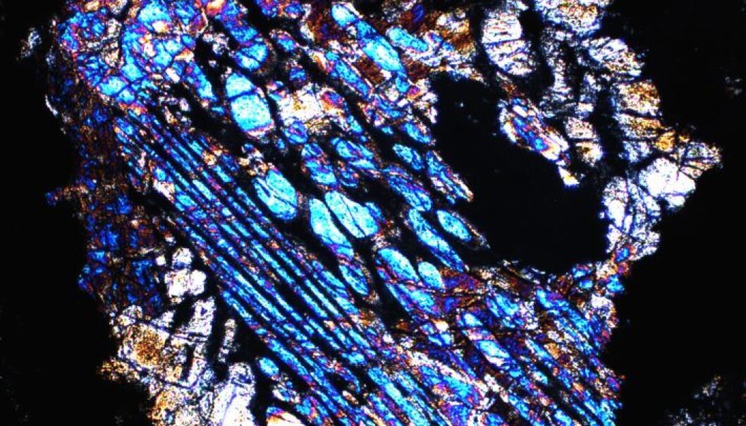 This is what chondrules look like up close. Most of the meteorites found contain masses of spherical chondrules that measure around a millimeter in diameter. (Photo: Henning Haack) This is what chondrules look like up close. Most of the meteorites found contain masses of spherical chondrules that measure around a millimeter in diameter. (Photo: Henning Haack)