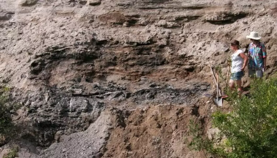 Evidence of the huge earthquakes believed to have hit large parts of Europe 201 million years ago. Researchers Sofie Lindström and Gunver Krarup are in the process of geological excavations in Norra Albert quarry in Southern Sweden. 