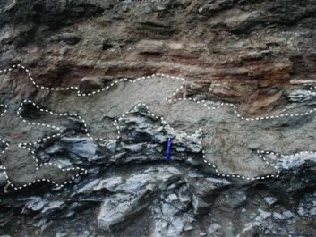 The picture shows the rock structures extracted from the Norra Albert quarry in Scåne in Southern Sweden. The layers that have been deformed by vibrations from earthquakes 201 million years ago are shown by the white dotted lines. Above are the horizontal layers of yellow-brown sandstones, whilst grey mudstones can be seen underneath, at the bottom of the photo. (Photo: Rikke Weibel GEUS) The picture shows the rock structures extracted from the Norra Albert quarry in Scåne in Southern Sweden. The layers that have been deformed by vibrations from earthquakes 201 million years ago are shown by the white dotted lines. Above are the horizontal layers of yellow-brown sandstones, whilst grey mudstones can be seen underneath, at the bottom of the photo. (Photo: Rikke Weibel GEUS)