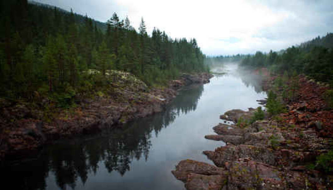 Älvdalen lies in a thinly populated part of Sweden near Dalarna. Until the early 20th century, the peoeple of Älvdalen still used runes. Some 2,500 people from the area still speak the unique language Elfdalian. The picture shows Österdalälven in Älvdalen. (Photo: Fotoakuten.se) Älvdalen lies in a thinly populated part of Sweden near Dalarna. Until the early 20th century, the peoeple of Älvdalen still used runes. Some 2,500 people from the area still speak the unique language Elfdalian. The picture shows Österdalälven in Älvdalen. (Photo: Fotoakuten.se)
