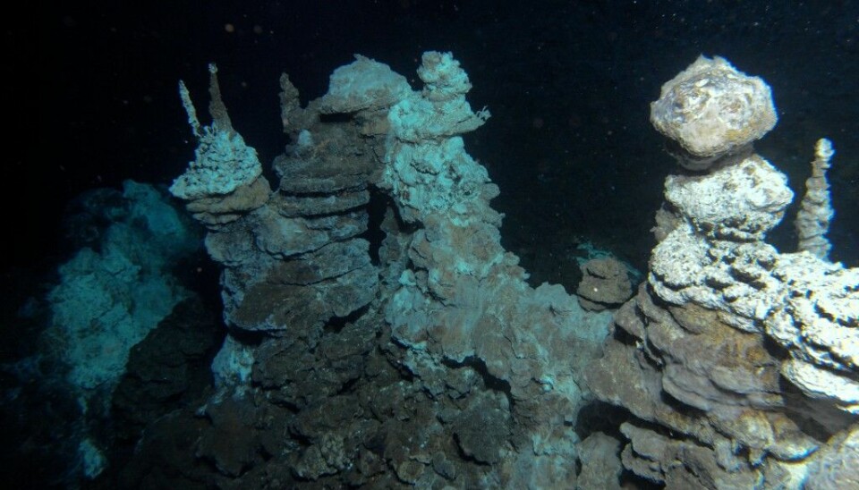 Photo of a hydrothermal vent in the mid-Atlantic ridge where two continental plates are being pushed away from each other. The new Loki-archaea were found in the icy-cold bed sediments some 15 km away. The bed sediments are rich in minerals from under-sea volcanic activity and the archaea probably live off the chemical energy bound up in the minerals. (Photo: R.B. Pedersen, University of Bergen)