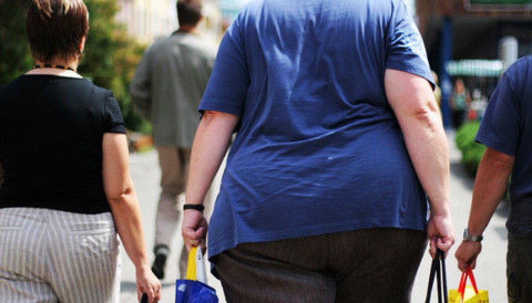 Obesity sometimes runs in the family but the fact that so many today are obese cannot be explained by genes or lifestyle alone, shows new study. (Photo: Colourbox) Obesity sometimes runs in the family but the fact that so many today are obese cannot be explained by genes or lifestyle alone, shows new study. (Photo: Colourbox)