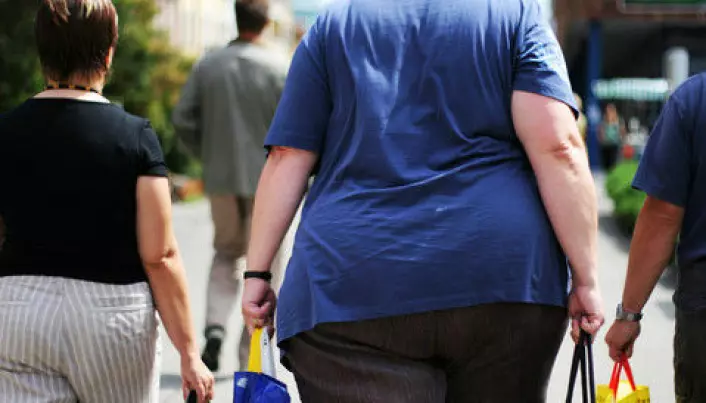 Obesity epidemic is not caused by genes or lifestyle