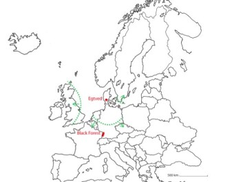 The map shows Egtved (top red dot) where the famous Bronze Age girl was found. The dotted green lines show the areas where she could have come from, according to the strontium isotopic analyses of her teeth, hair, nails, and clothing. The most likely true origin is The Black Forest in Germany, marked with a red ellipse. (Illustration: Marie Louise Andersson, National Museum of Denmark) The map shows Egtved (top red dot) where the famous Bronze Age girl was found. The dotted green lines show the areas where she could have come from, according to the strontium isotopic analyses of her teeth, hair, nails, and clothing. The most likely true origin is The Black Forest in Germany, marked with a red ellipse. (Illustration: Marie Louise Andersson, National Museum of Denmark)