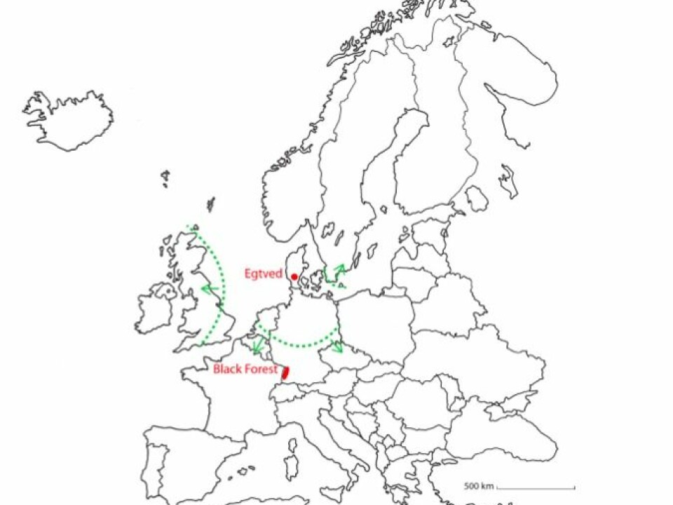 The map shows Egtved (top red dot) where the famous Bronze Age girl was found. The dotted green lines show the areas where she could have come from, according to the strontium isotopic analyses of her teeth, hair, nails, and clothing. The most likely true origin is The Black Forest in Germany, marked with a red ellipse. (Illustration: Marie Louise Andersson, National Museum of Denmark)