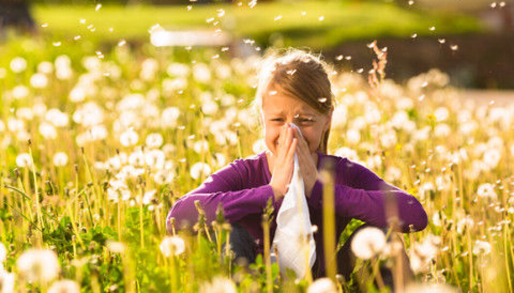 Allergies develop when the immune system mistakenly perceives harmless substances as invaders and starts a chain reaction to defend themselves. (Photo: Colourbox) Allergies develop when the immune system mistakenly perceives harmless substances as invaders and starts a chain reaction to defend themselves. (Photo: Colourbox)