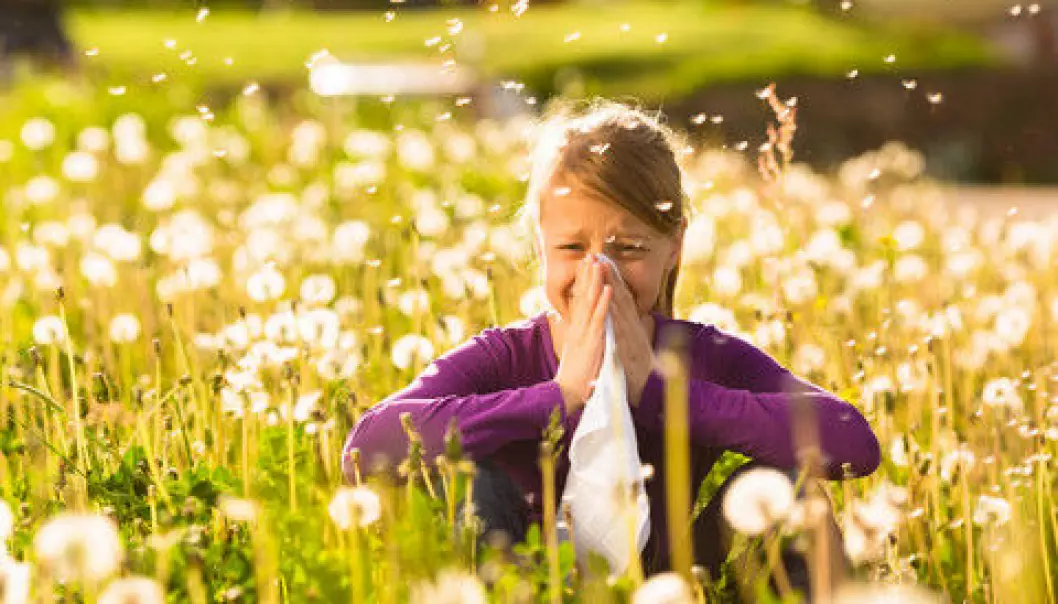 Allergies develop when the immune system mistakenly perceives harmless substances as invaders and starts a chain reaction to defend themselves. (Photo: Colourbox)