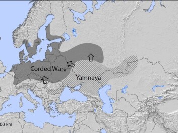 Yamnaya migration into Northern Europe. (Modified map, original by Richard Potter) Yamnaya migration into Northern Europe. (Modified map, original by Richard Potter)