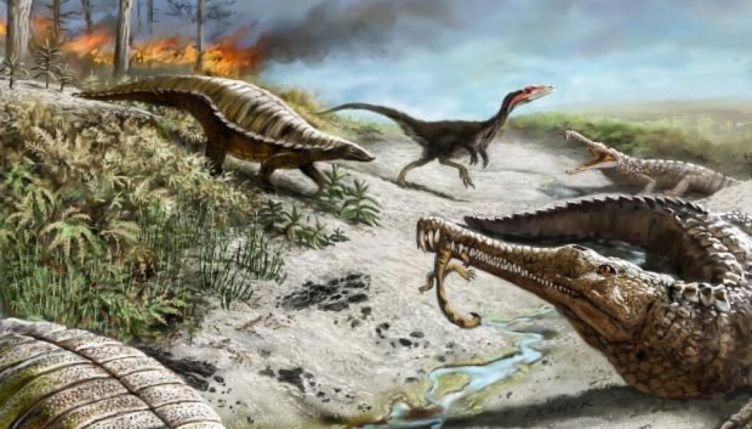 For 30 million years, large forest fires and climate change made the equator a no go zone for the large herbivorous dinosaurs. (Illustration: Victor Leshyk) For 30 million years, large forest fires and climate change made the equator a no go zone for the large herbivorous dinosaurs. (Illustration: Victor Leshyk)