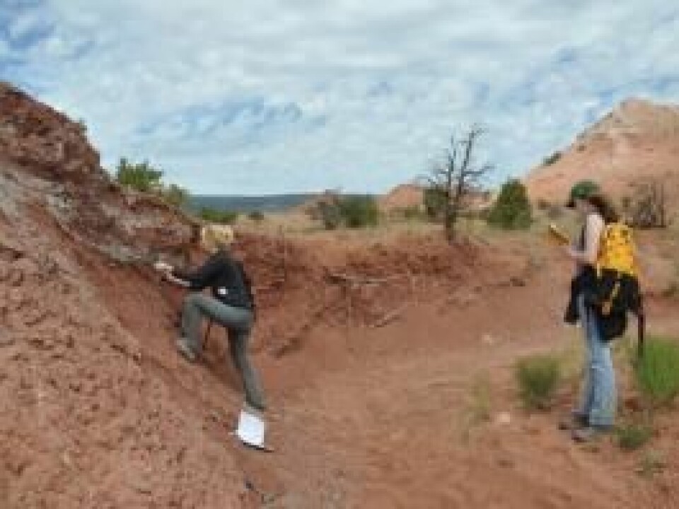 Scientists examining rocks at Ghost Ranch, New Mexico. The rocks tell us what life was like at the equator 212 million years ago. (Photo: Randall Irmis)
