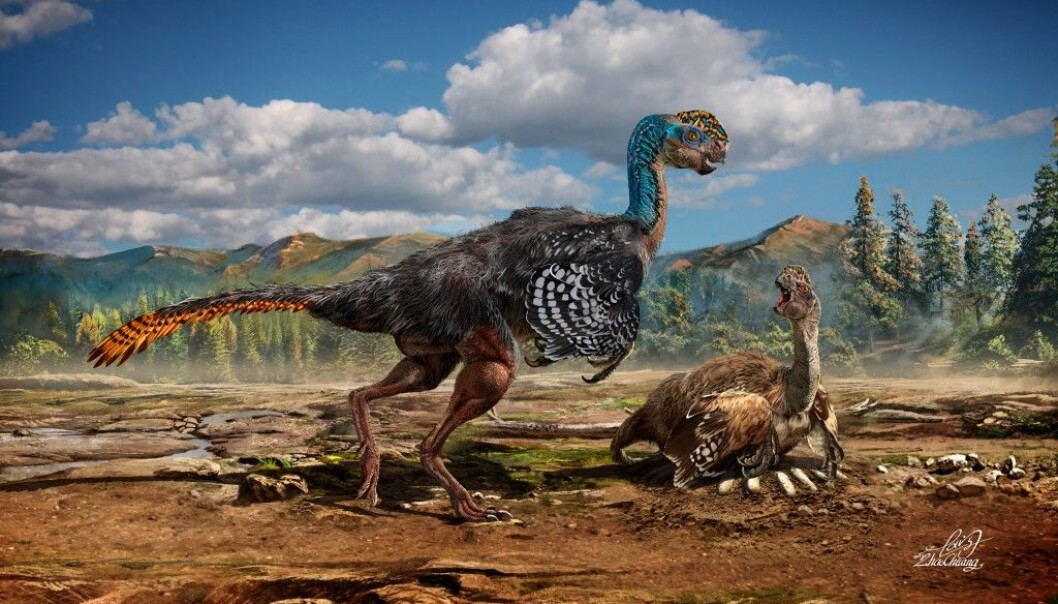 new feathered dinosaur