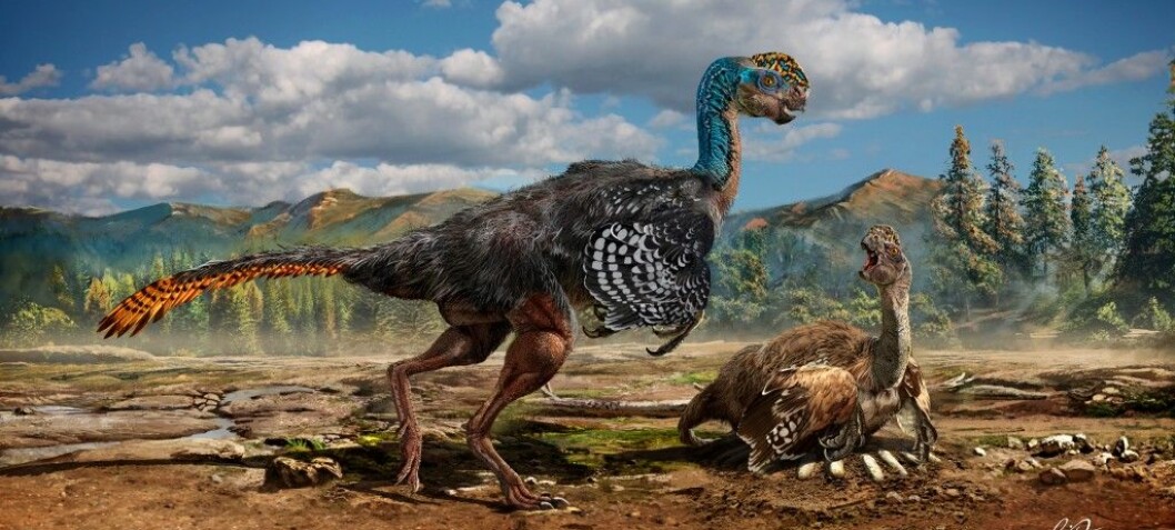 New feathered dinosaur species found in China