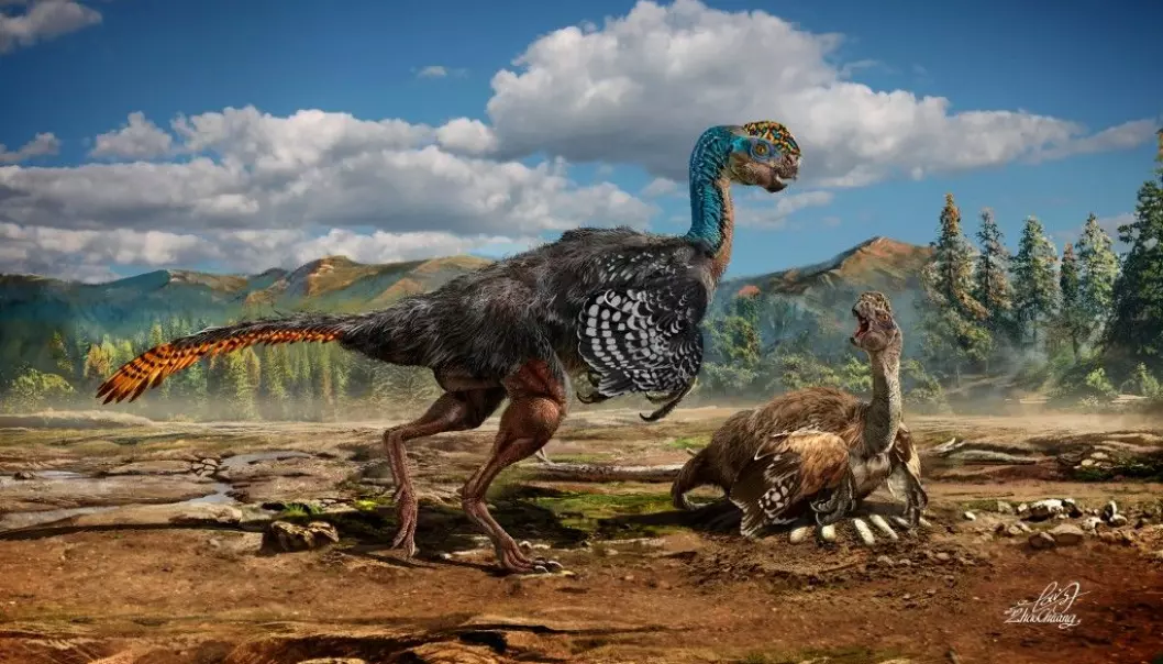 An artists impression of how the new dinosaur species may have appeared, with feathers and an unusually shaped skull. (Photo: Chuang Zhao)