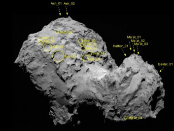 Here you can see some of the pits that Vincent and his team studied. (Photo: Jean-Baptiste Vincent in Vincent et al. 2015) Here you can see some of the pits that Vincent and his team studied. (Photo: Jean-Baptiste Vincent in Vincent et al. 2015)