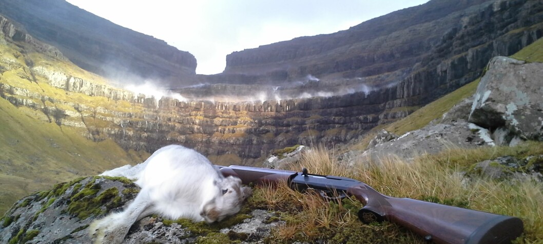 Citizen Science in the Faroe Islands: Helps both hunters and animals