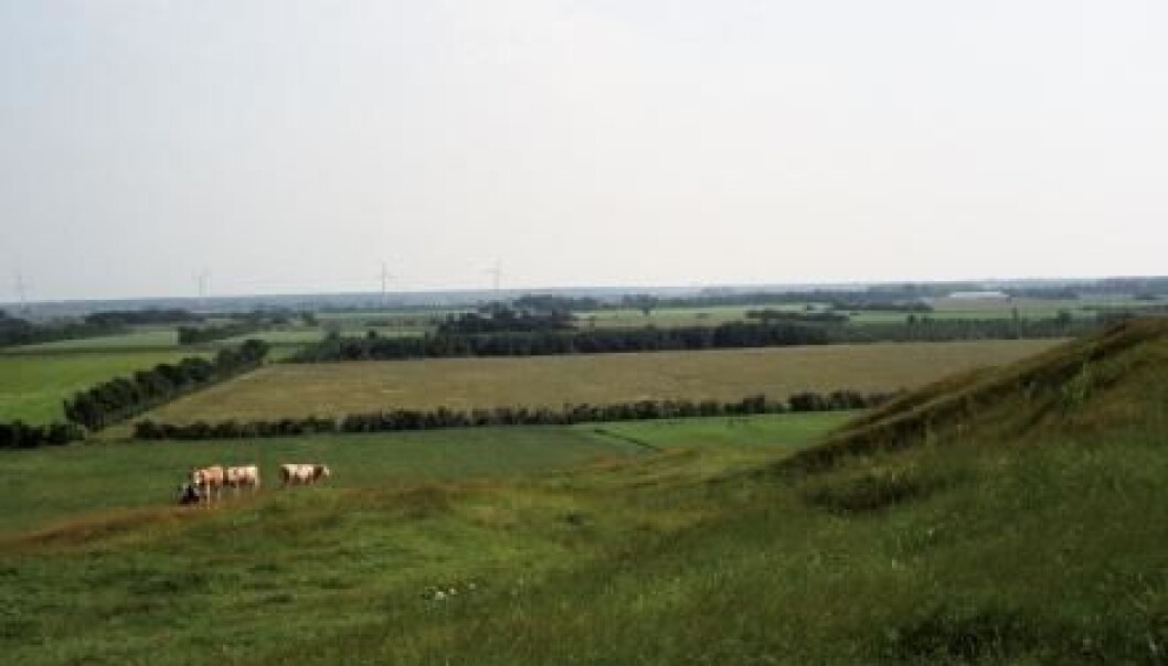 A typical outwash plain, formed at the front of glaciers during the most recent ice age, which ended around 12,000 years ago. The deposition of masses of rocks and gravel in front of the ice caused the landscape to slope away from the glacier. (Photo: Danish Nature Agency) A typical outwash plain, formed at the front of glaciers during the most recent ice age, which ended around 12,000 years ago. The deposition of masses of rocks and gravel in front of the ice caused the landscape to slope away from the glacier. (Photo: Danish Nature Agency)