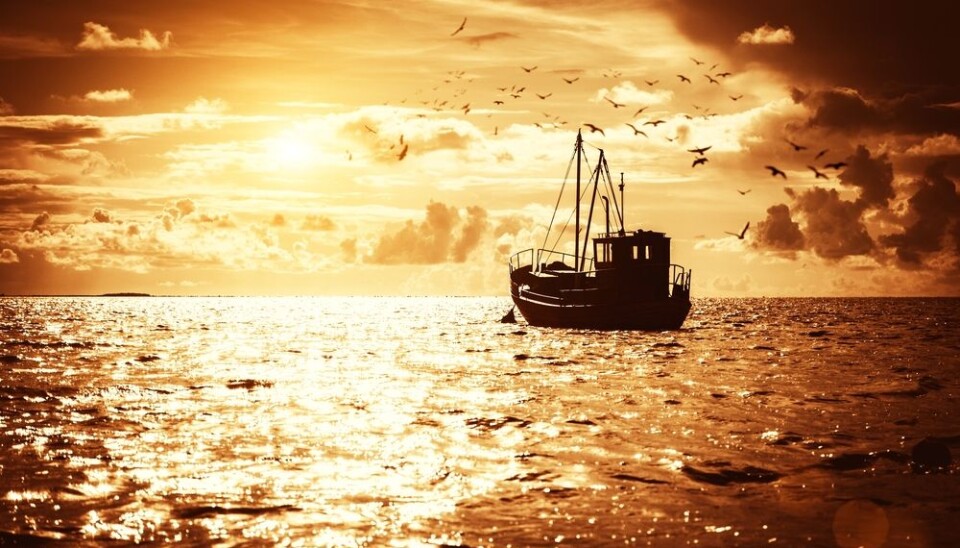 As oceans warm and fish migrate, both aquaculture and new ocean governance structures are needed to help sustain future fisheries and seafood supplies, says a new report by a group of international researchers. (Photo: Shutterstock)