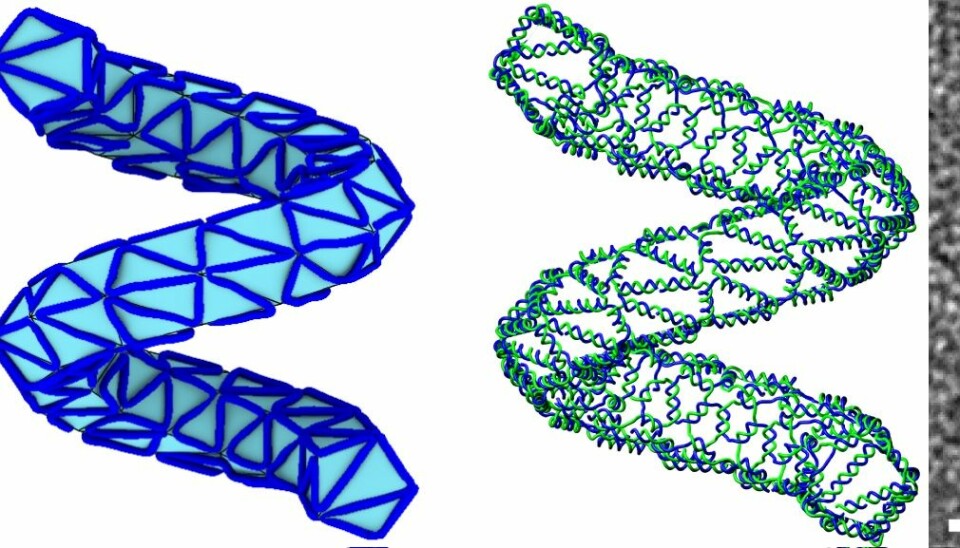 The four steps to creating a DNA nanostructure. This time using a helix shaped design, which is around 50 nanometres long. (Image: Erik Benson and Björn Högberg)