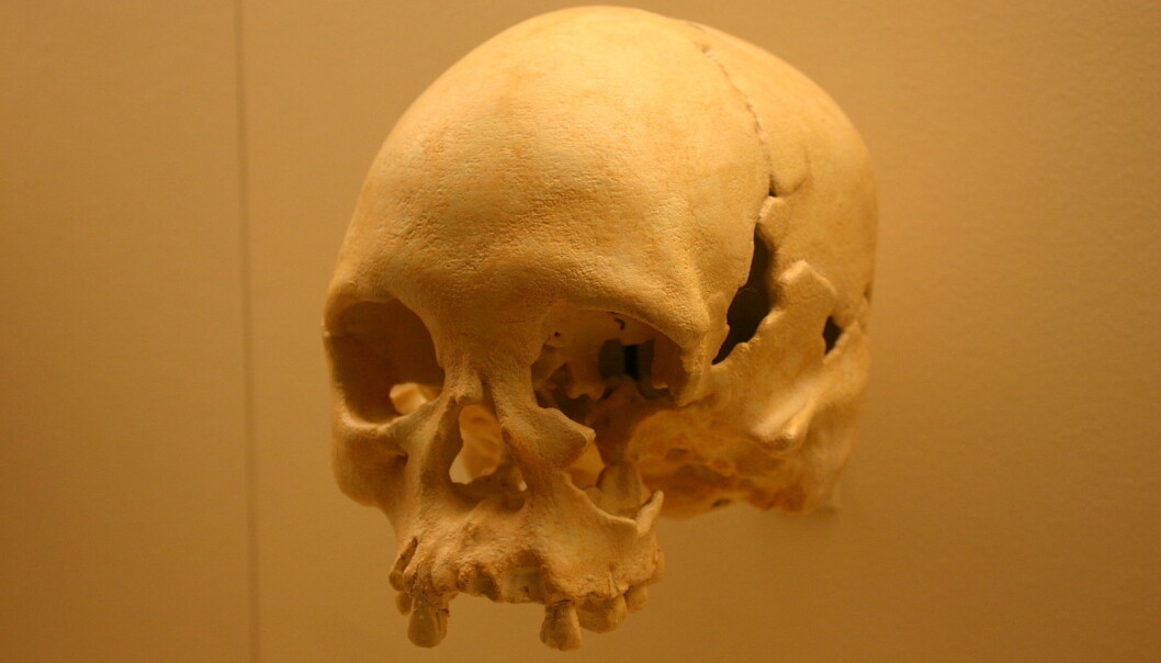Scientists have analysed DNA from ancient humans and compared it with DNA from modern populations in two new studies. (Photo: Wikimedia Commons) Scientists have analysed DNA from ancient humans and compared it with DNA from modern populations in two new studies. (Photo: Wikimedia Commons)